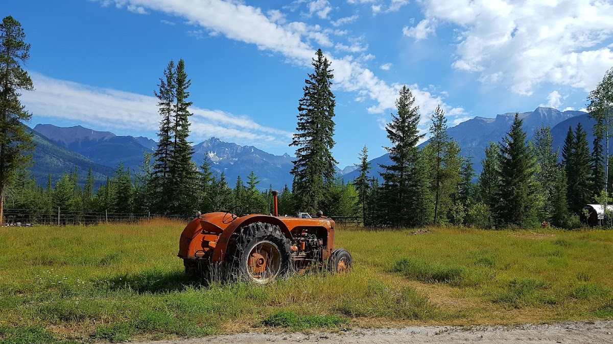 Rocky Mountain Buffalo Ranch photo 2