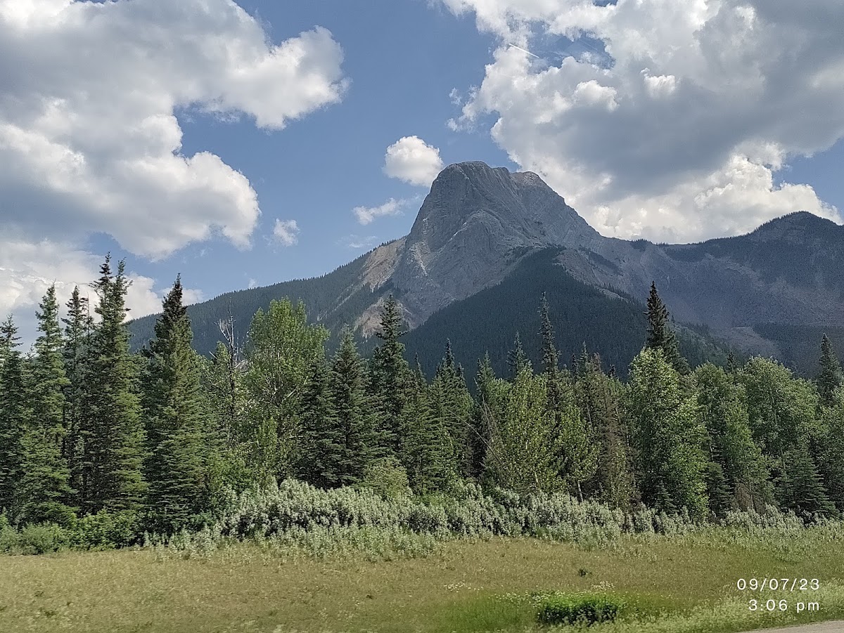 Rocky Mountain Buffalo Ranch photo 3