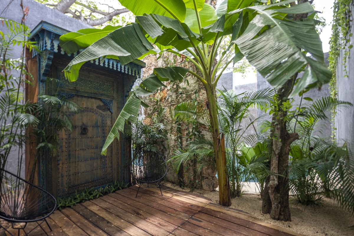 Hotel Casa Hormiga photo 2