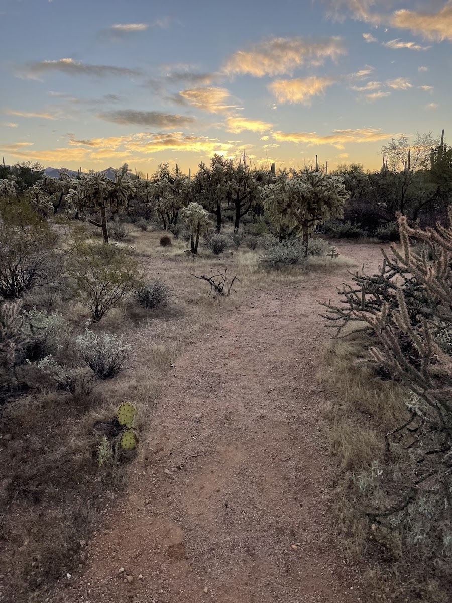 The JTH Tucson photo 2