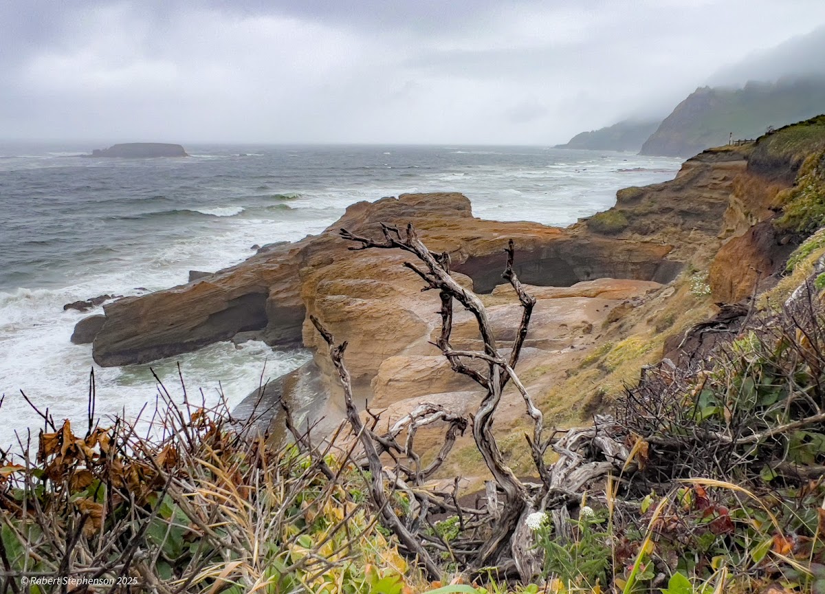 Oregon Coast Visitors Association