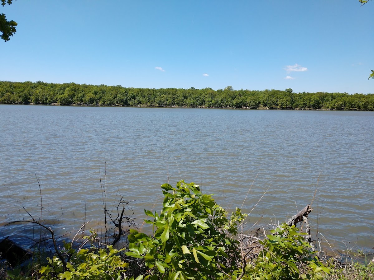Okmulgee Lake