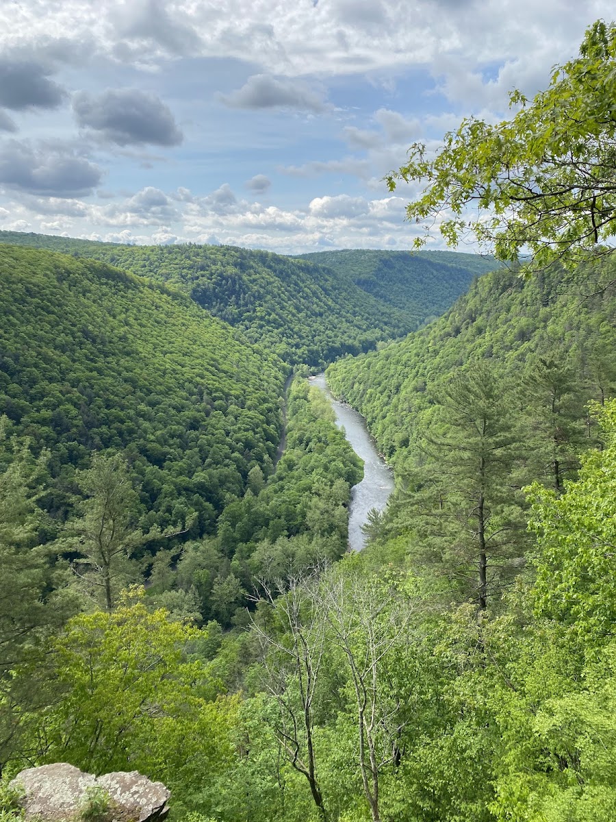 Pine Creek Gorge