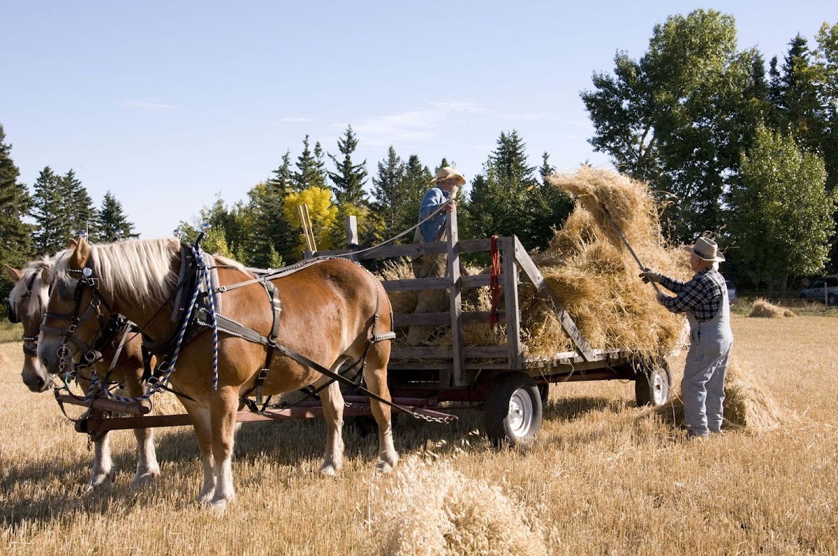 Stony Plain & Parkland Pioneer Museum