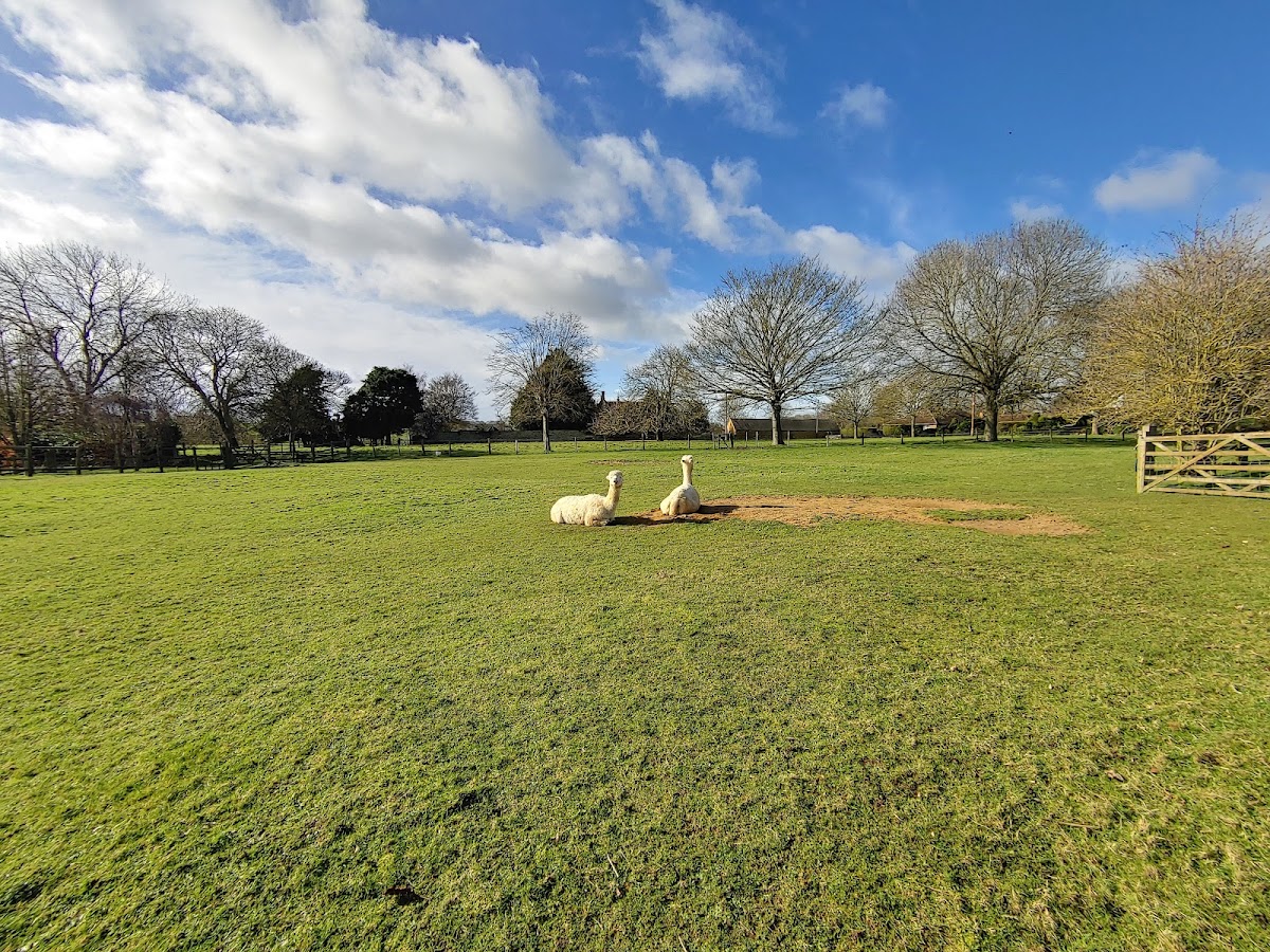 Homefield Grange photo 3