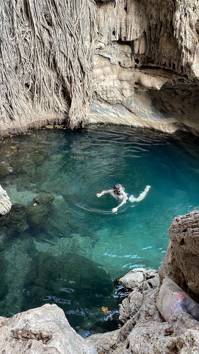 Tolistoque Ojo de Agua