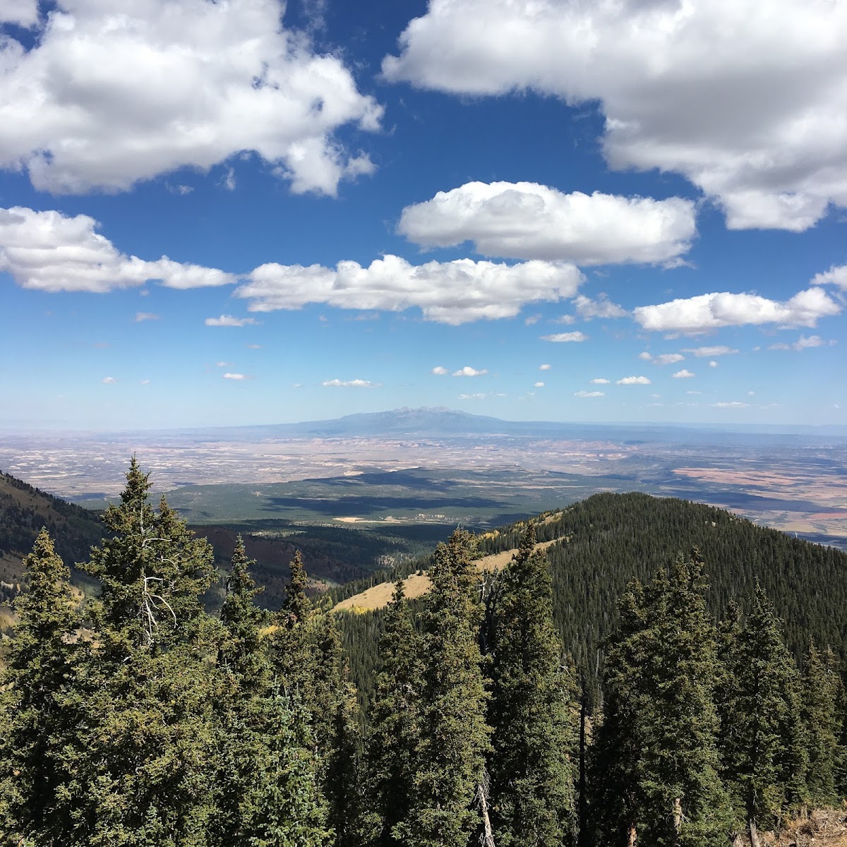 Abajo Peak