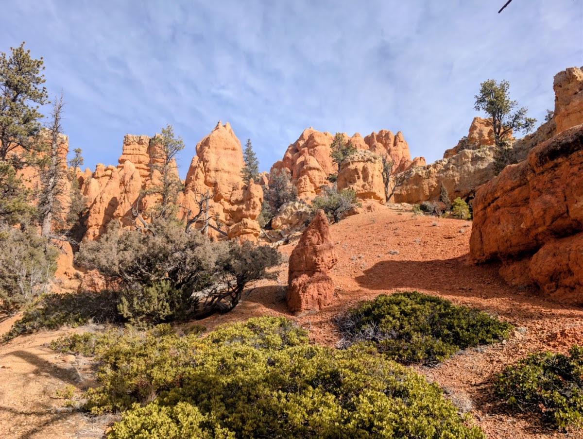 Dixie National Forest