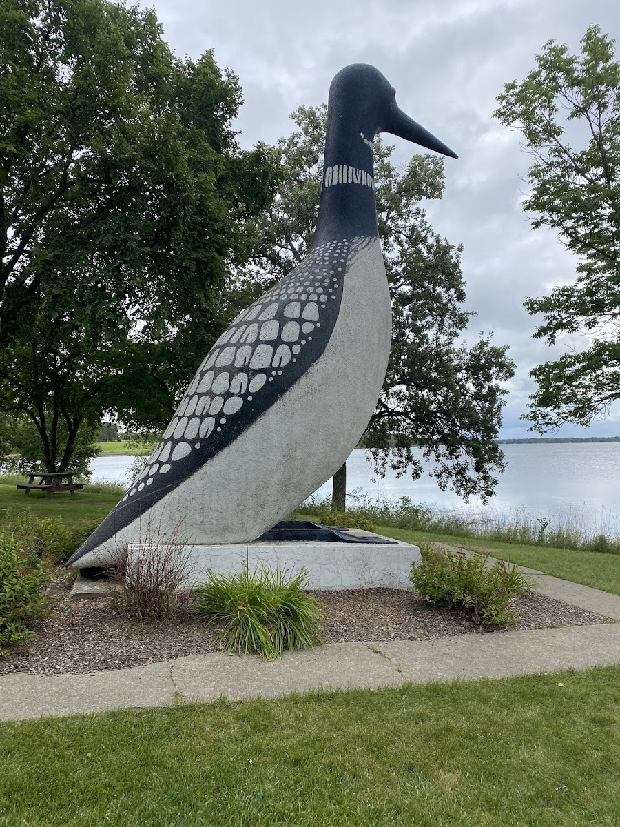 World's Largest Loon