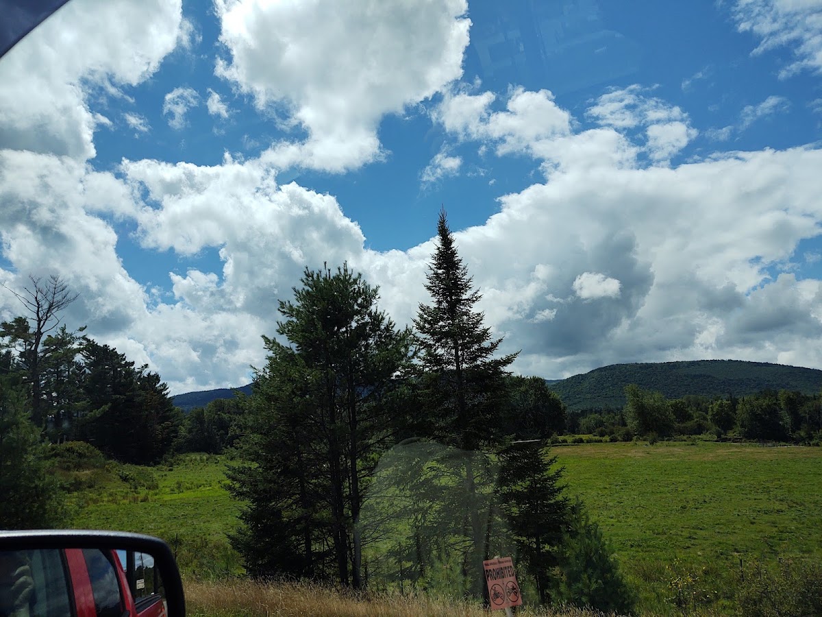 Percy Lodge photo 3
