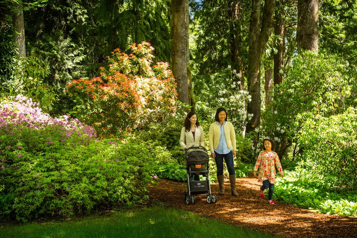 Bloedel Reserve