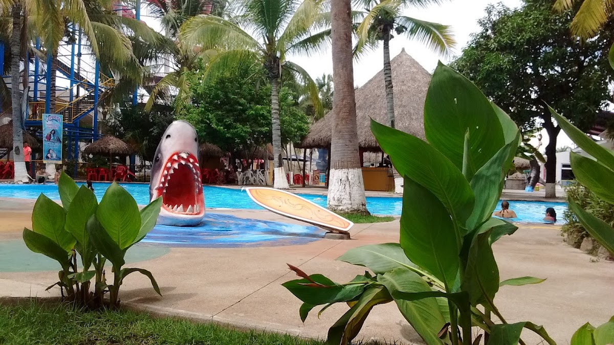 Hotel Splash Inn Nuevo Vallarta photo 3
