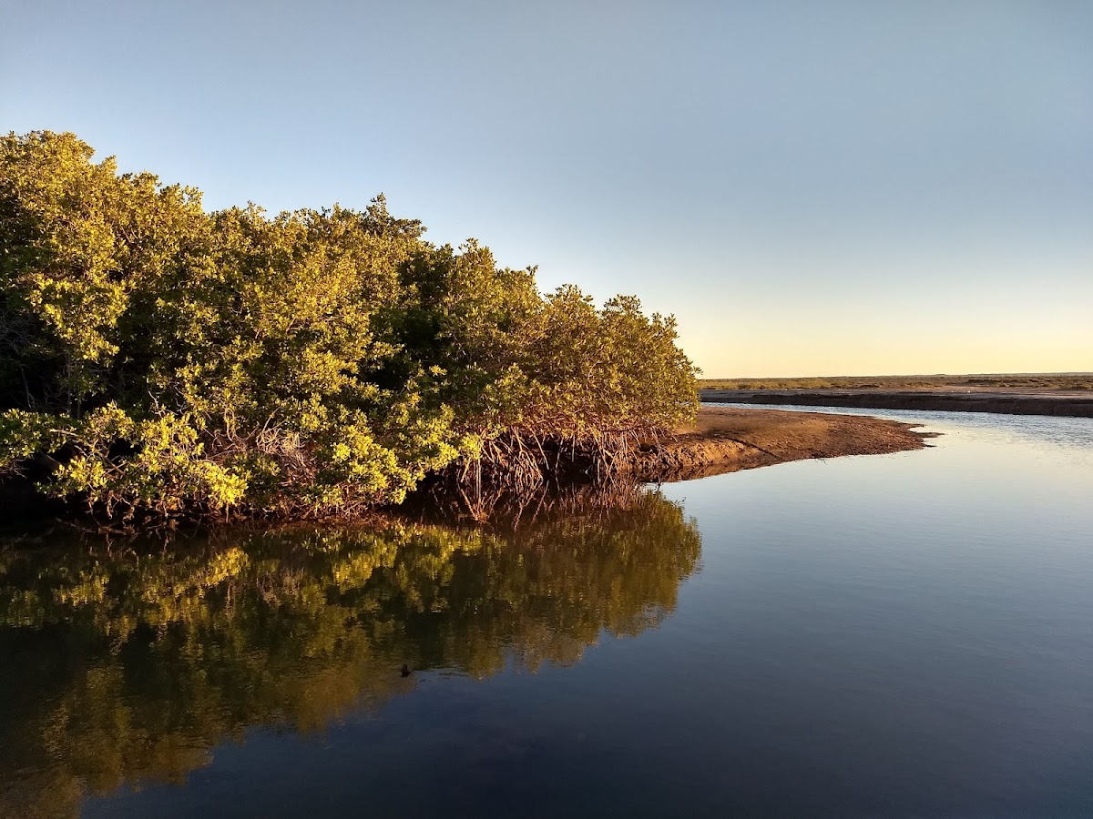 Playa El Mogote