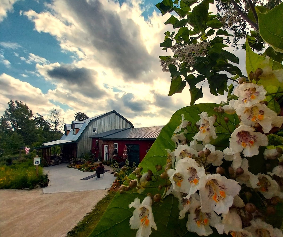 Madigan Winery