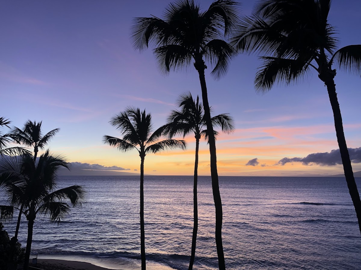 Hale Mahina Beach Resort photo 2