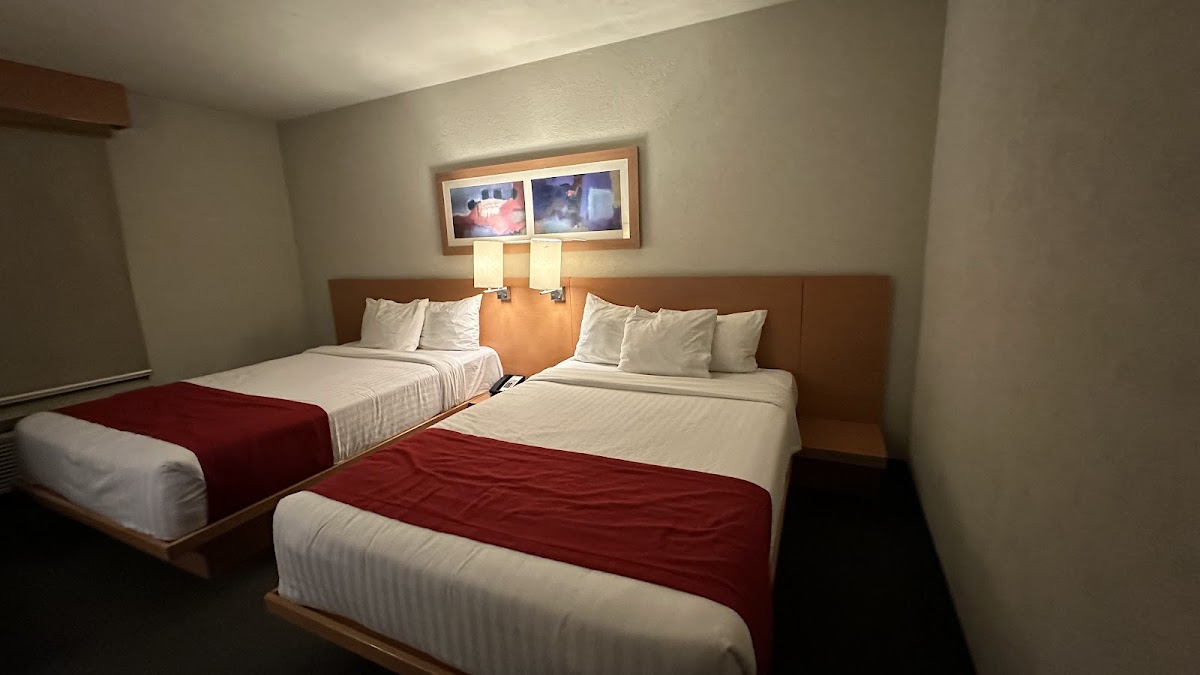 City Express by Marriott photo 3