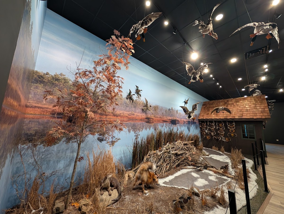 Whitetails and Wildlife Museum