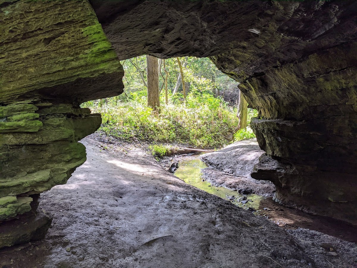 Portland Arch Nature Preserve (North Trail)