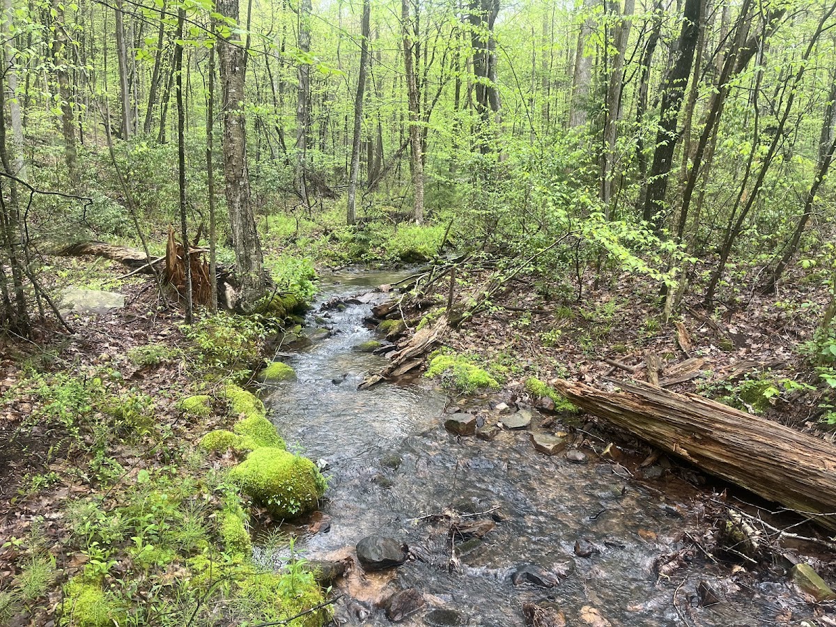 Mid State Trail