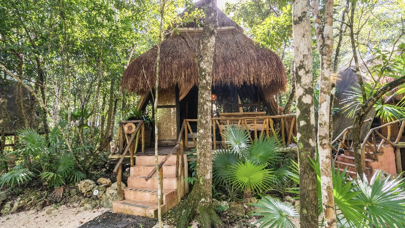 San Carlos Jungle Lodge
