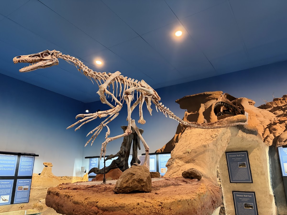 Mt. St Helens Creation Center