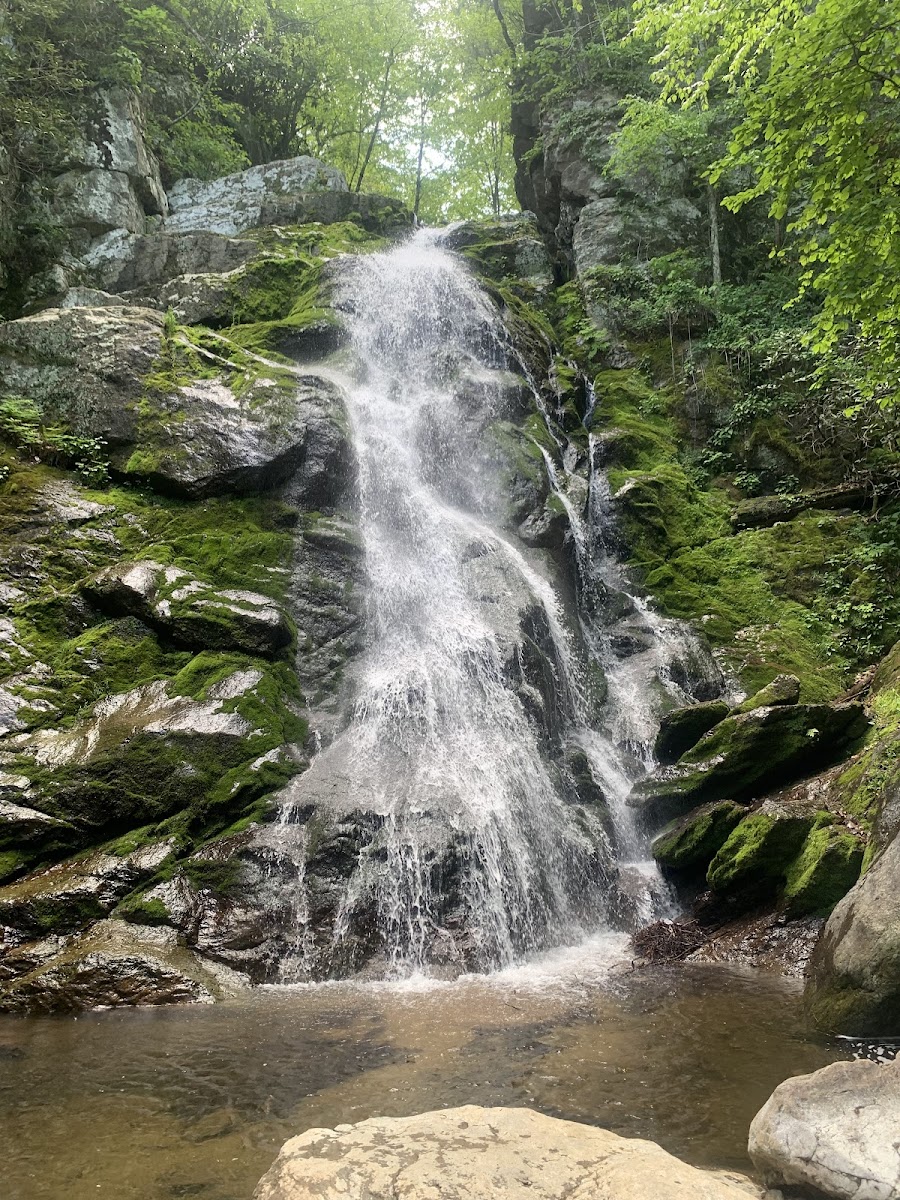 Stiles Falls