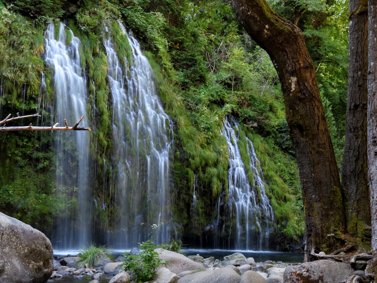 Mossbrae Falls