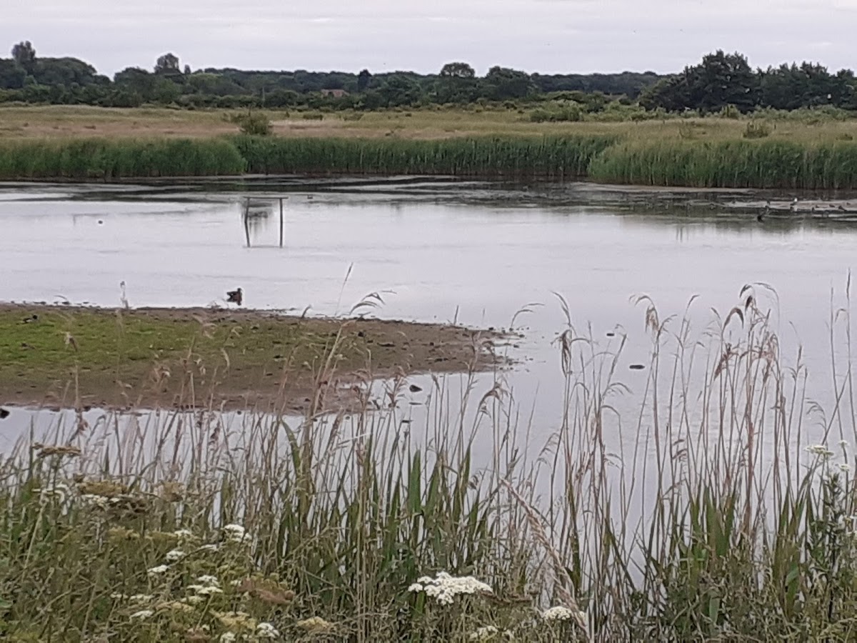 North Cave Wetlands