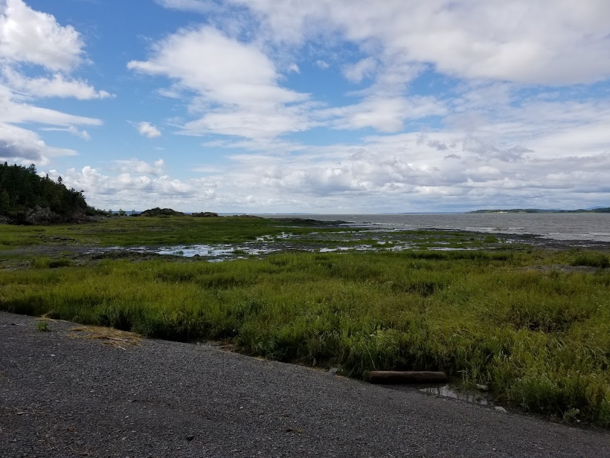 Jean-Paul-Riopelle Nature Reserve (île aux Grues)