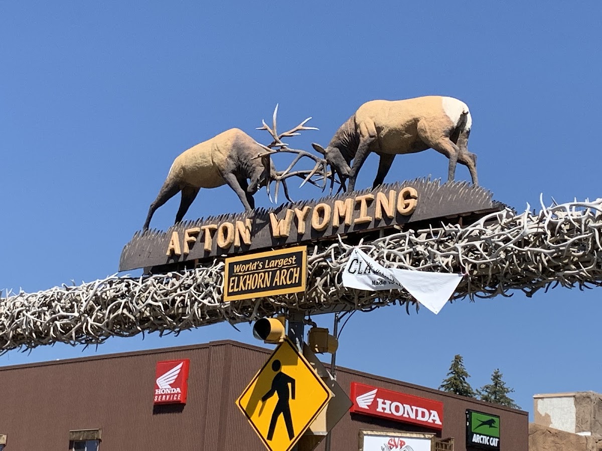 World's Largest Elkhorn Arch