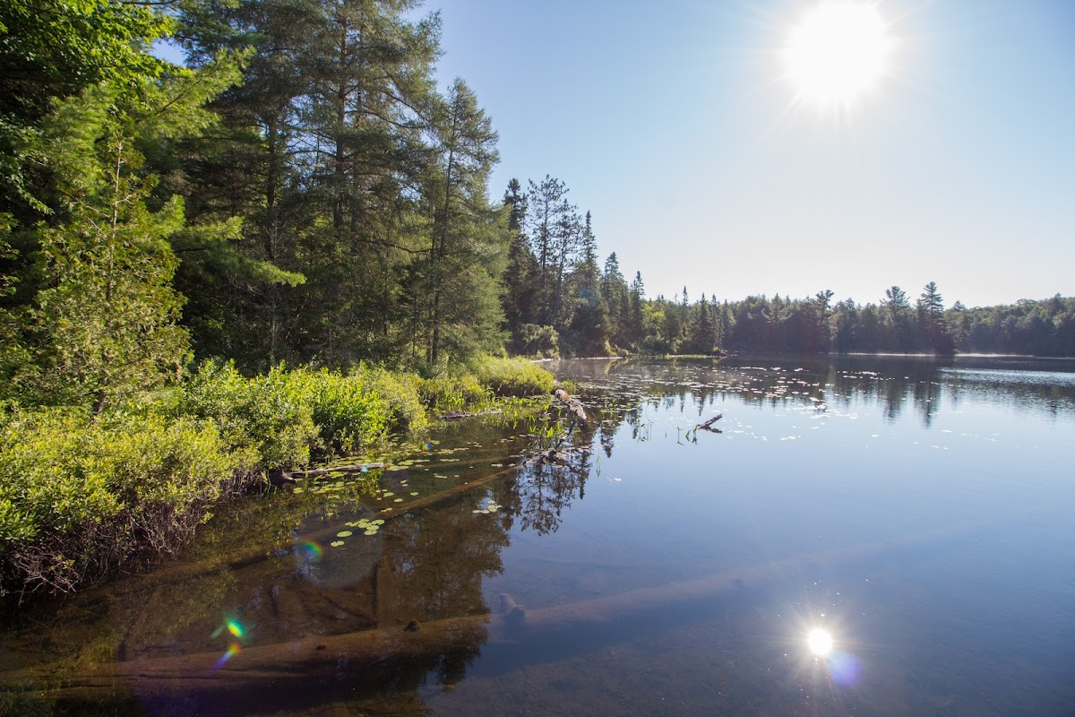Magnetawan Lake