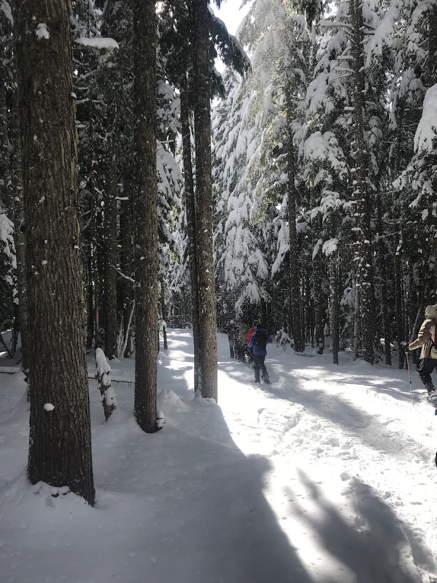 Collins Lake Resort photo 2