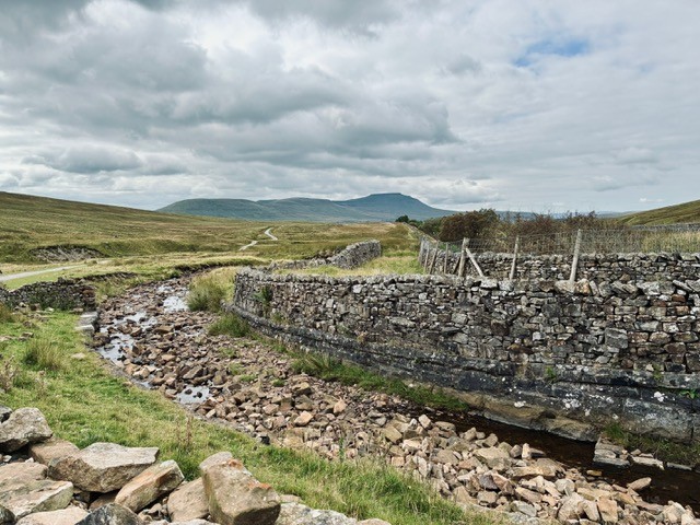 Whernside