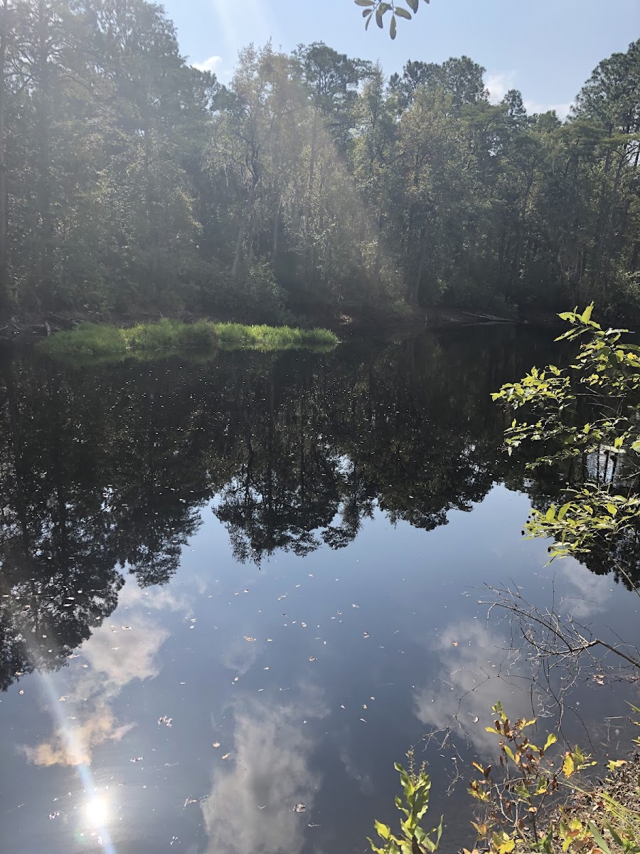 GRIFFIN RIDGE WILDLIFE MANAGEMENT AREA