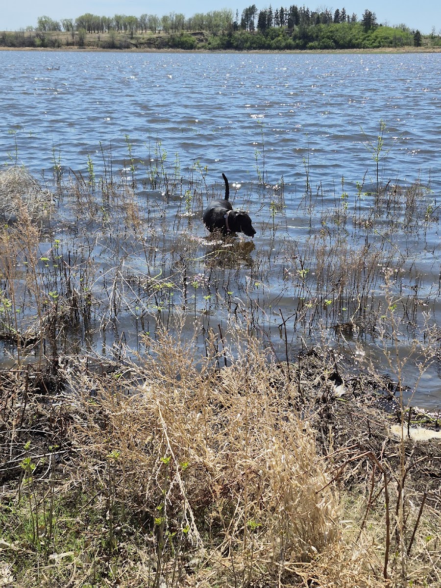 Lake Ilo