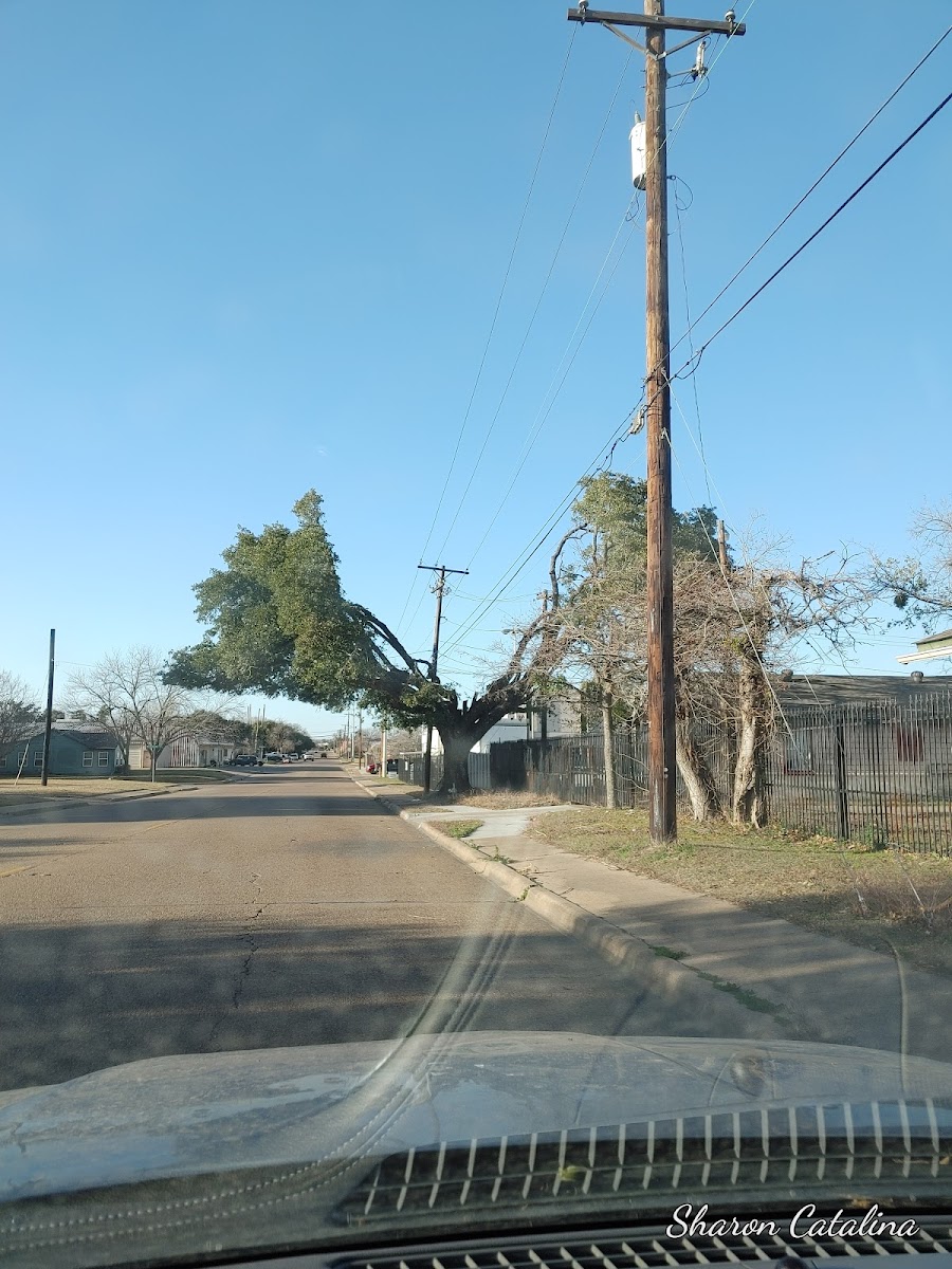 Holiday Plaza Motel photo 2