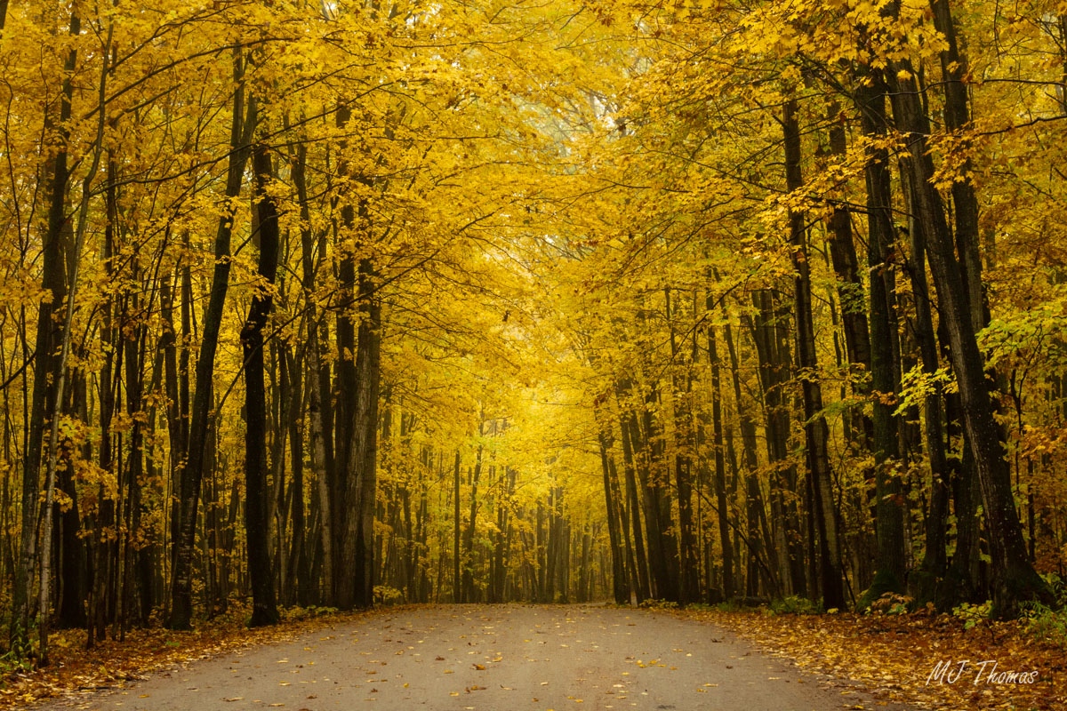 Awenda Provincial Park