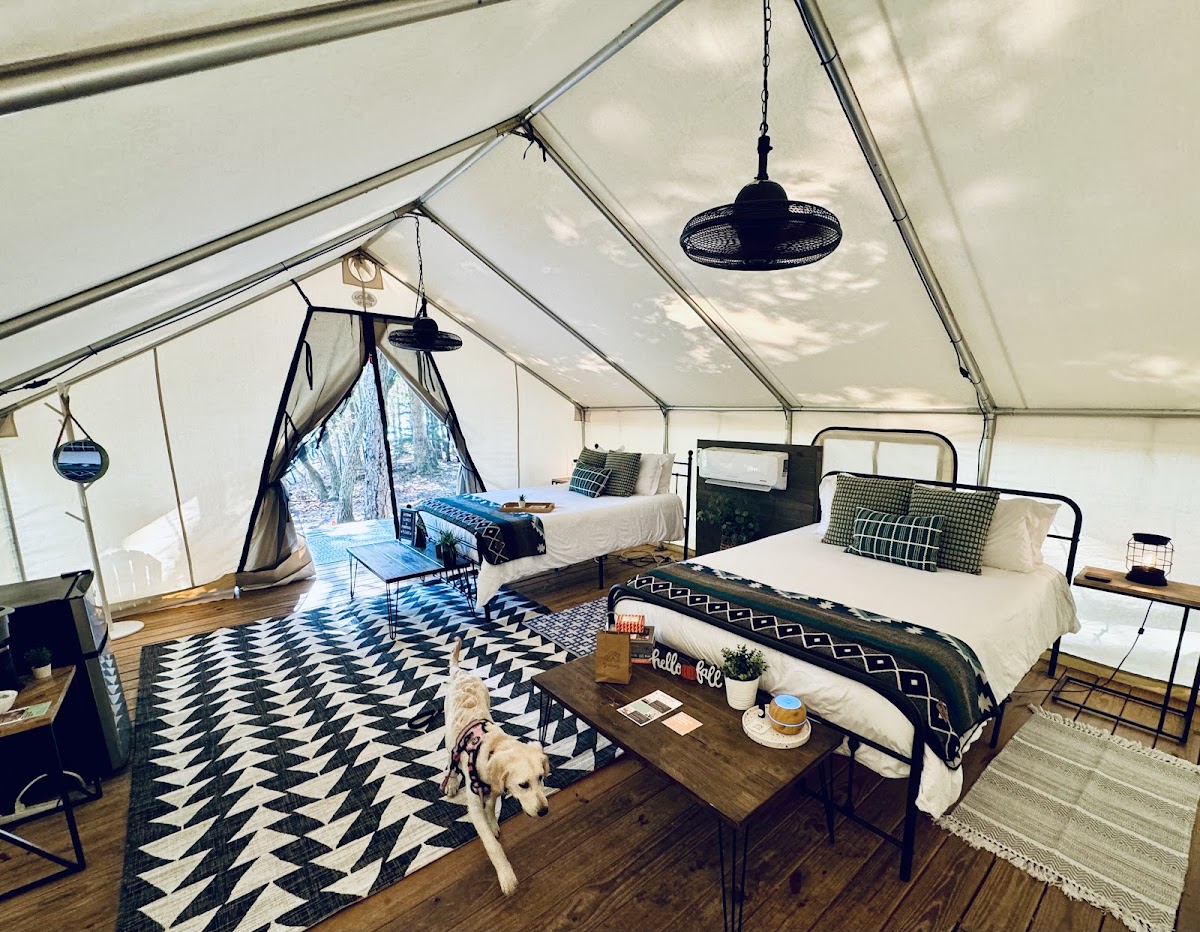 Timberline Glamping Company - Lake Lanier photo 2