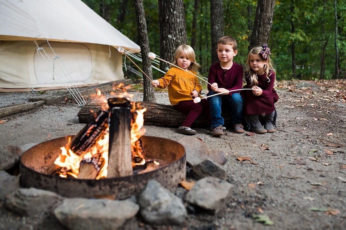 Timberline Glamping Company - Lake Lanier photo 3