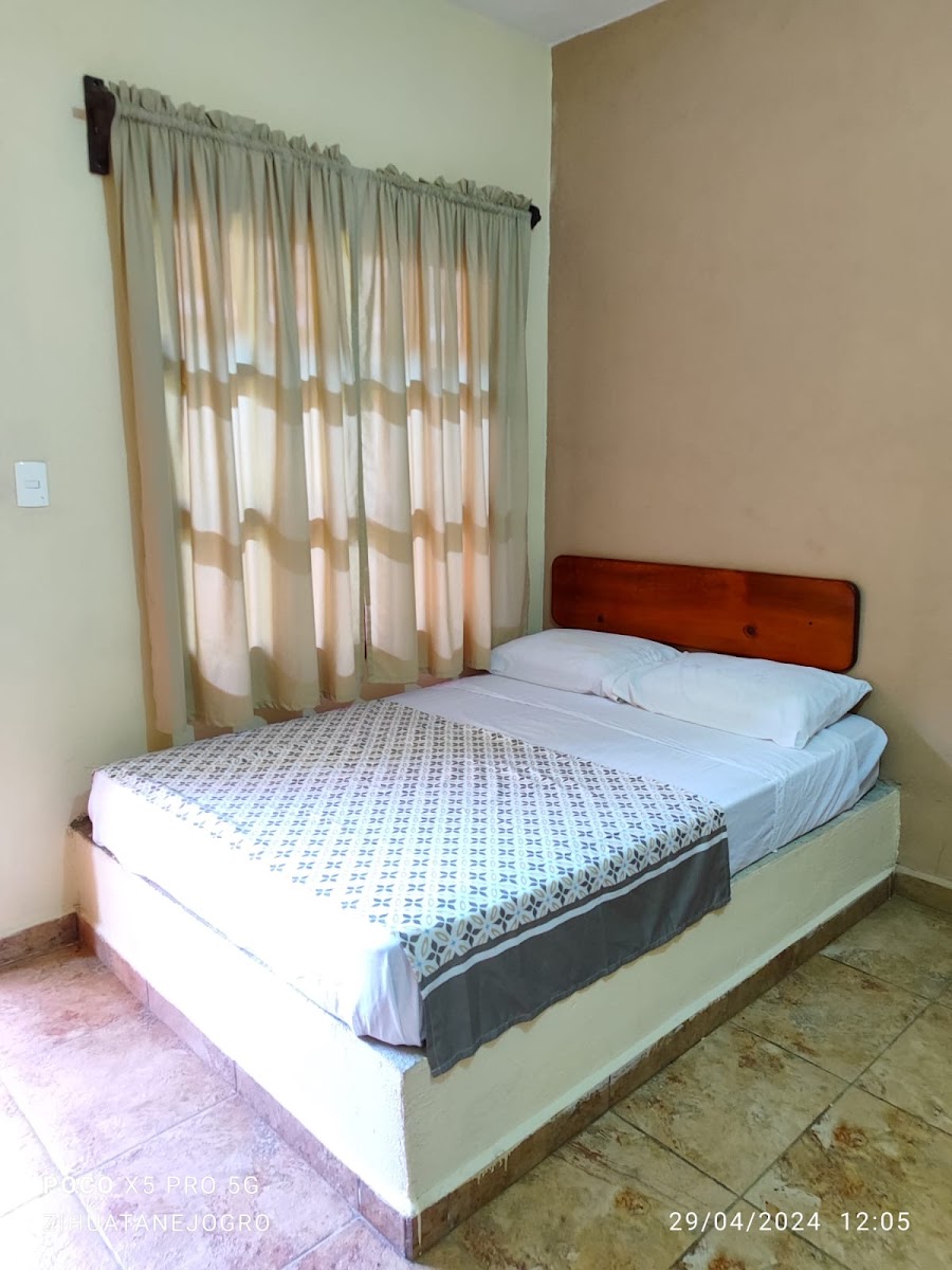 Hotel palmares photo 3
