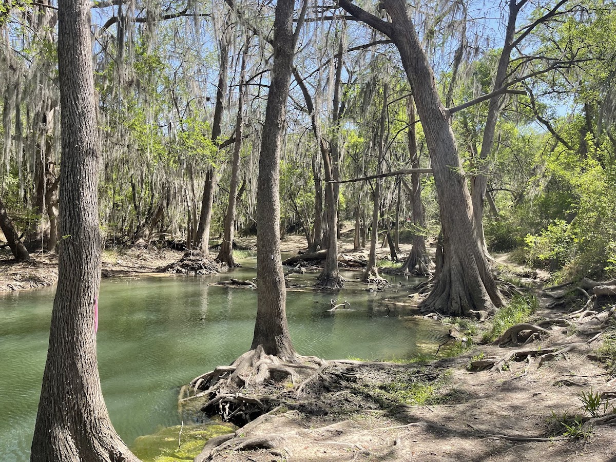 Castroville Regional Park