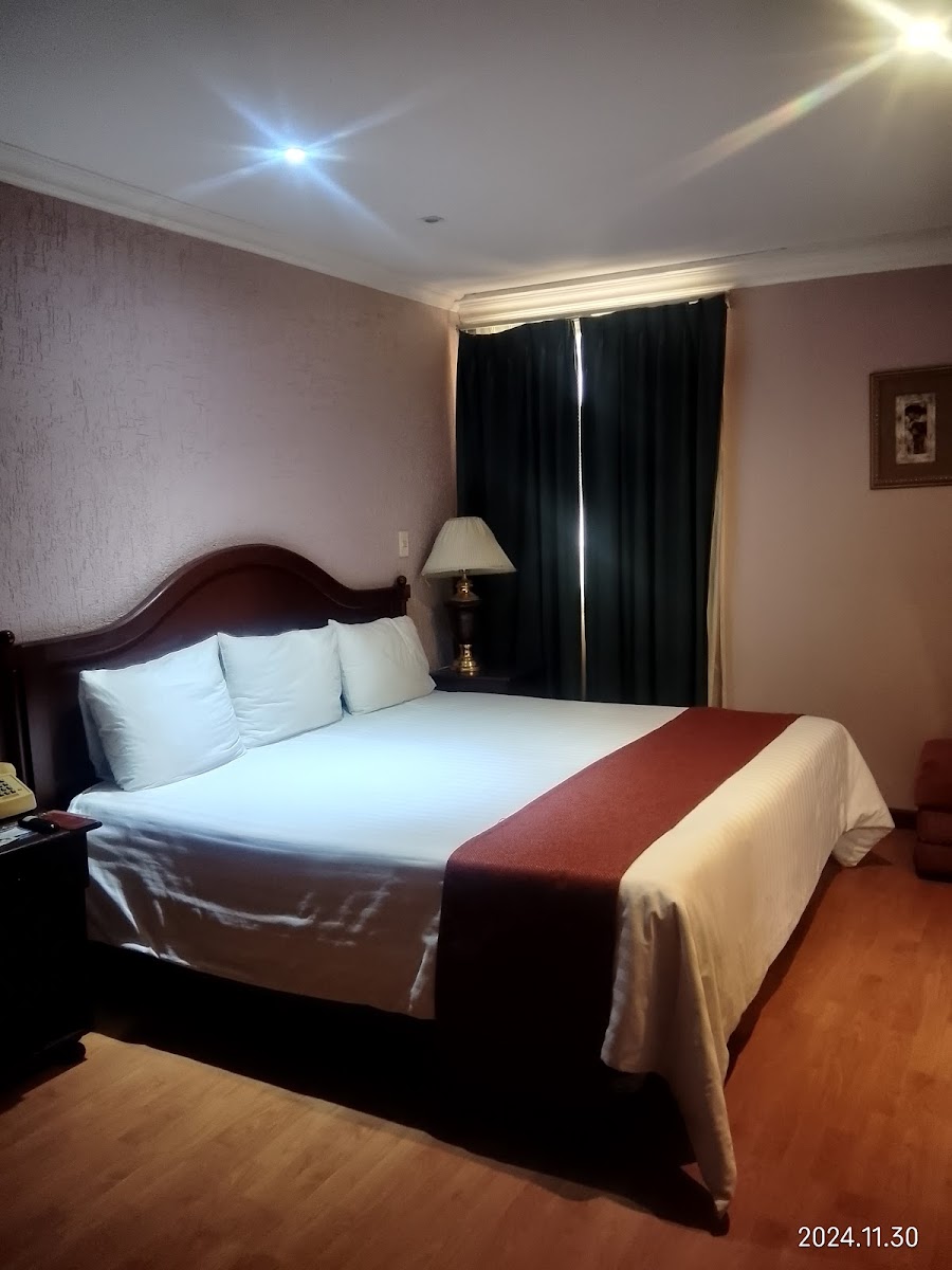Virreynal Hotel & Suites photo 3