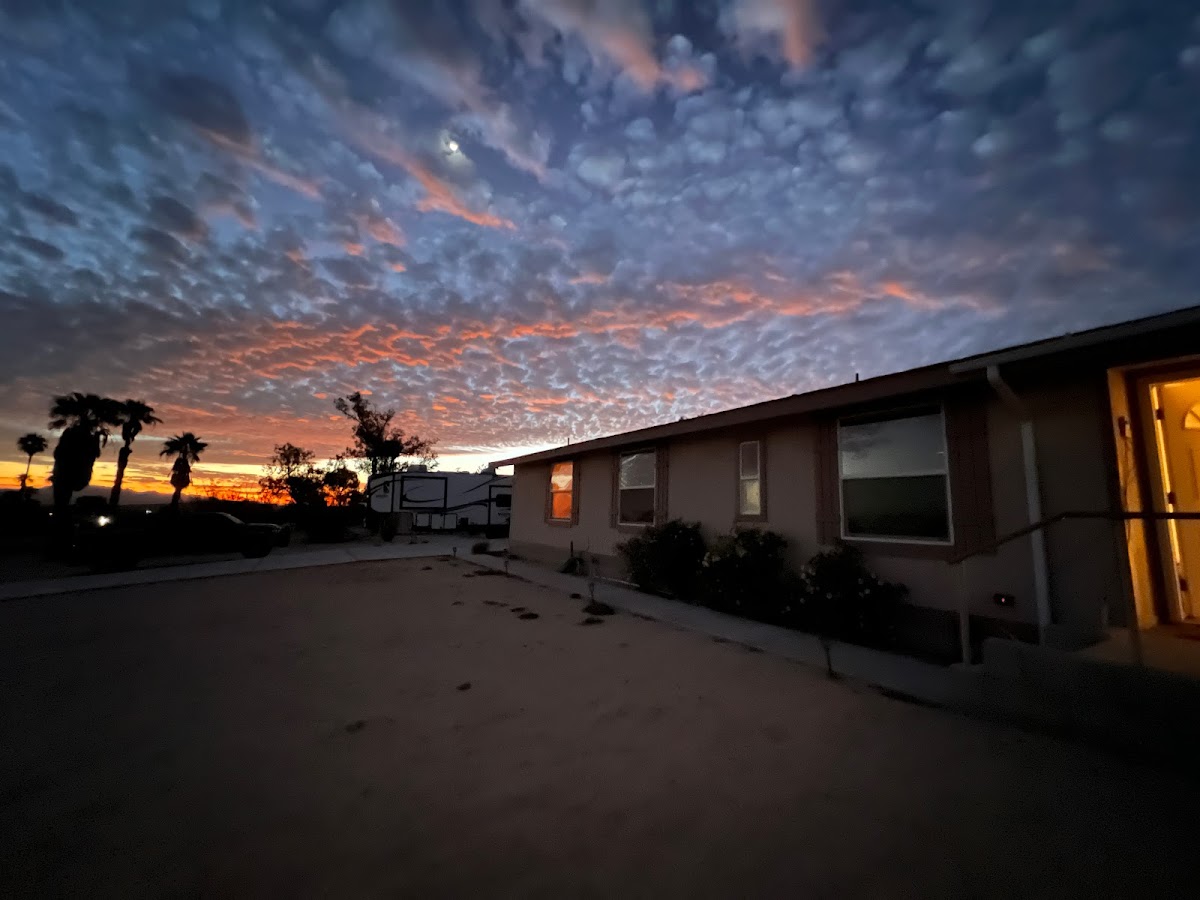 Bodhi House 29!