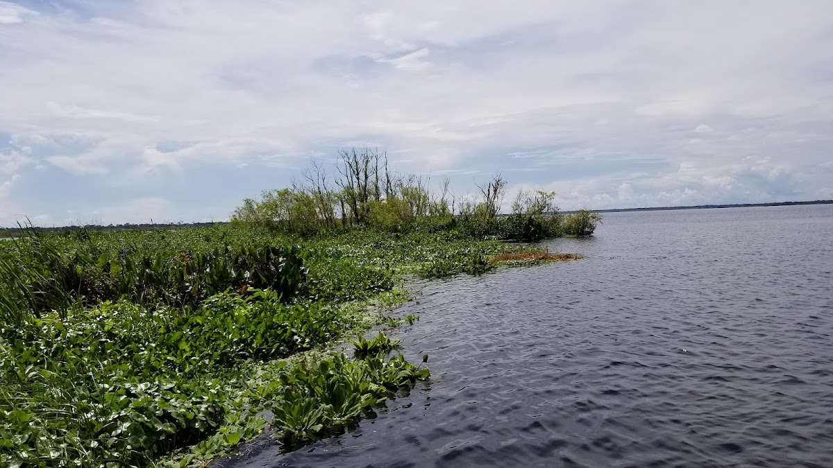 Orange Lake