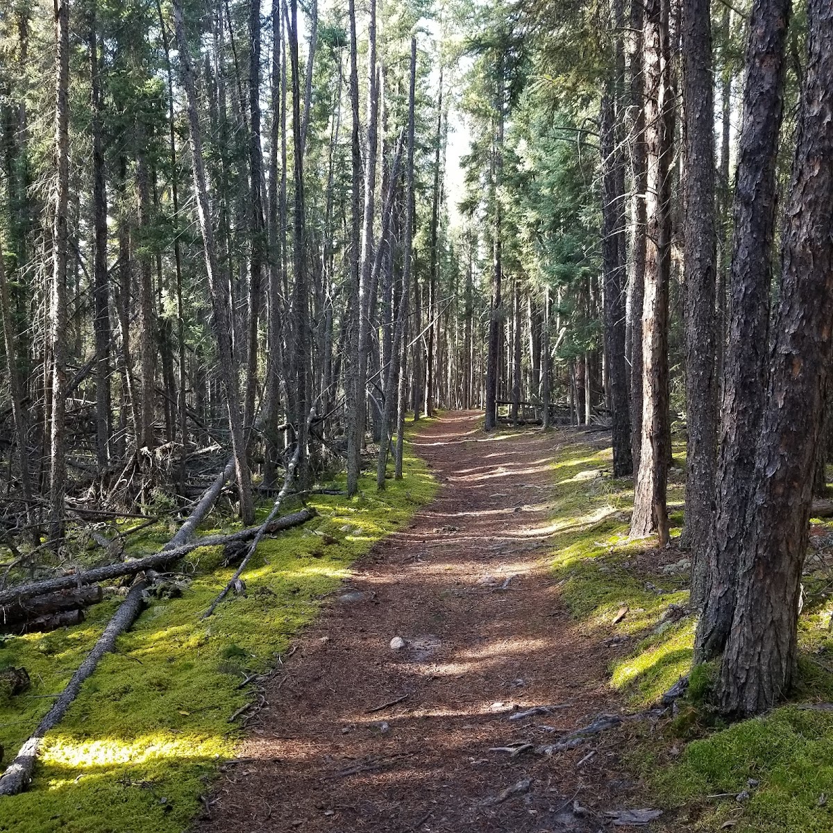 Fisher Trail