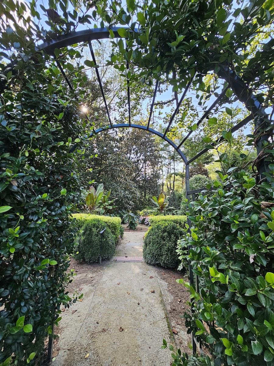 The Duke Mansion photo 3