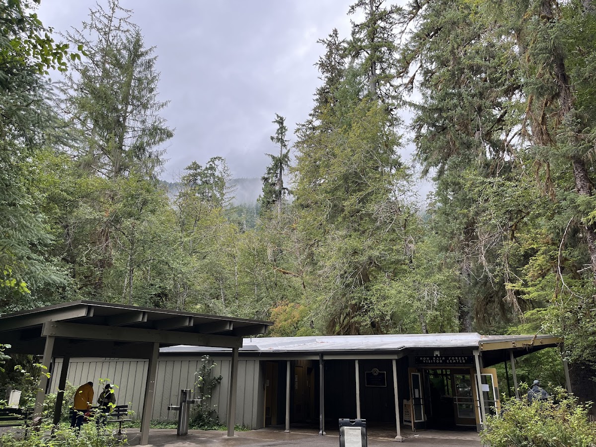 Hoh Rain Forest