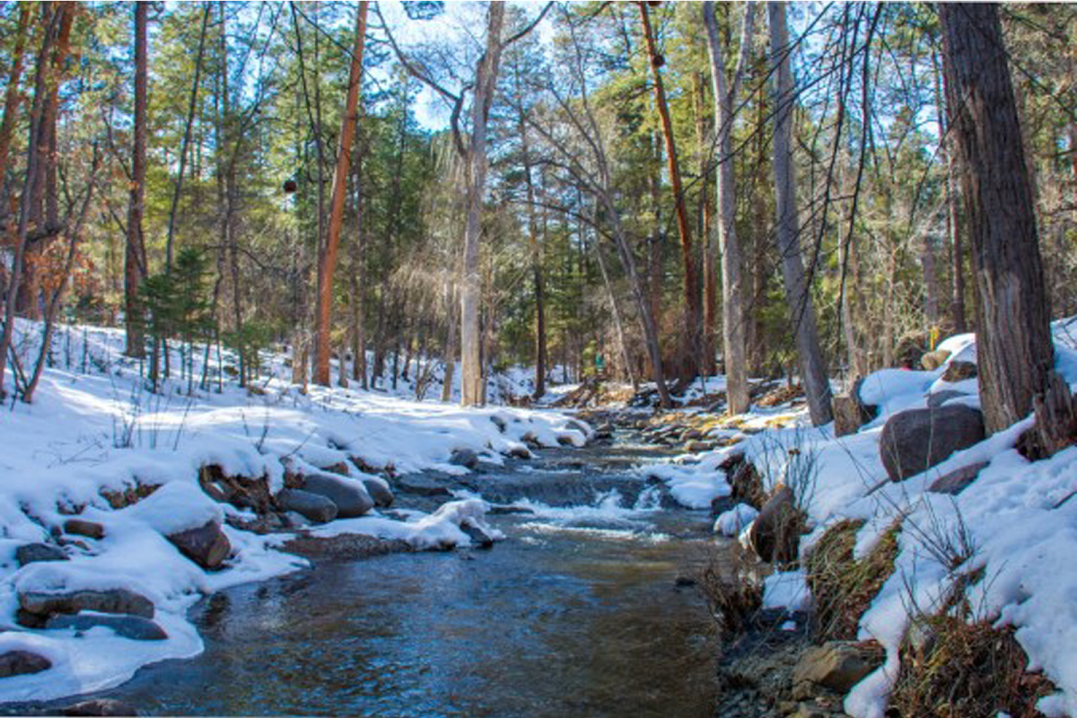 Ruidoso River Resort photo 3