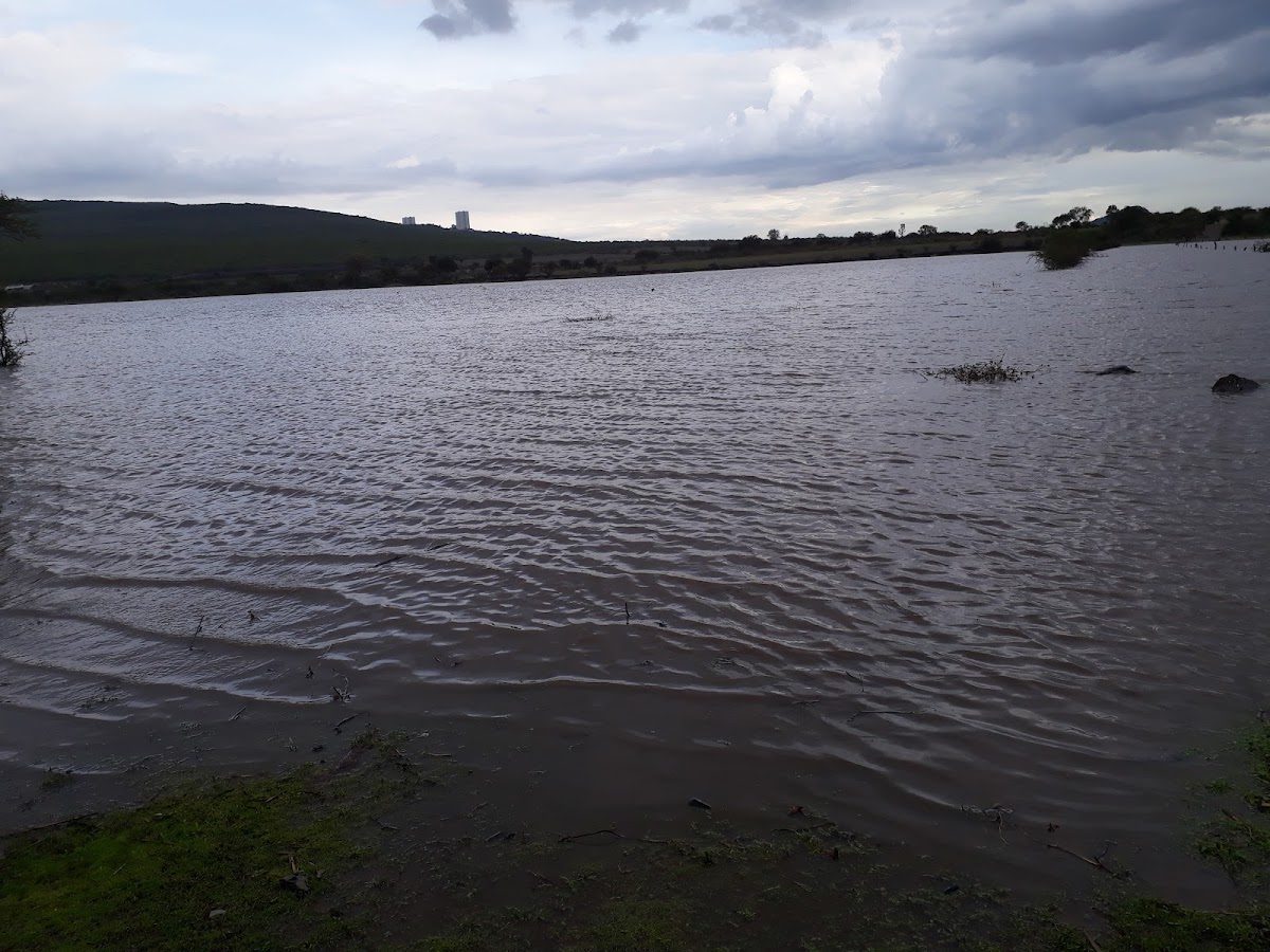 Presa El Conejo