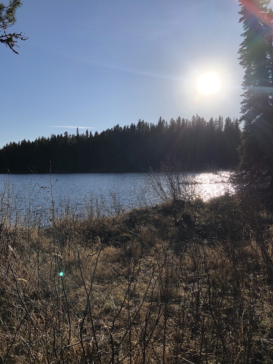 Marigold Lake